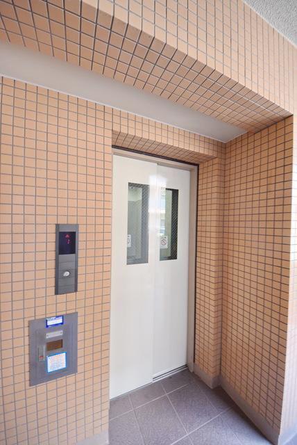 ウィスタリアオーク