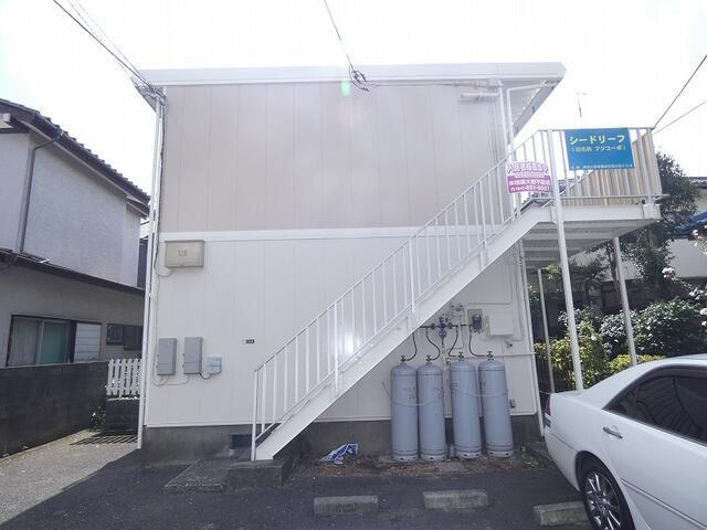 シードリーフ
