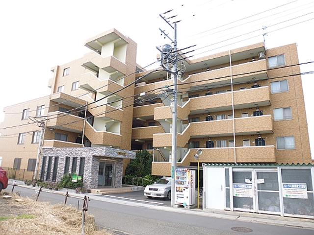 フローラ