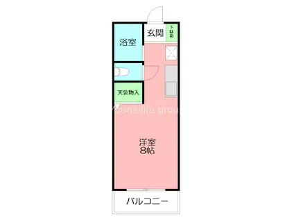 コーポセキ(1K/2階)の間取り写真