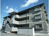 エールガーデン桜