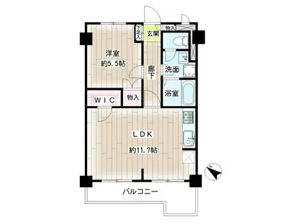 グレイス綱島第2(1LDK/4階)の間取り写真