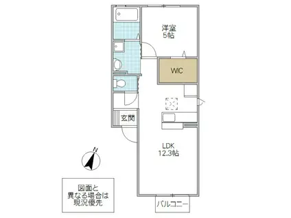 ベアー フルーツ(1LDK/1階)の間取り写真