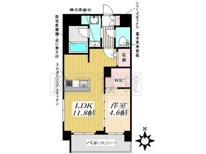 フェリシア恵方(1LDK/1階)の間取り写真