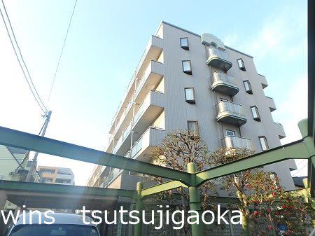 アネックス国領