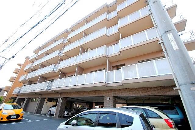 サンシャイン猫田