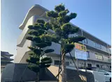 エルグランド21