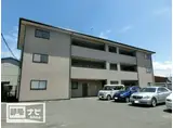 シーズン柞田