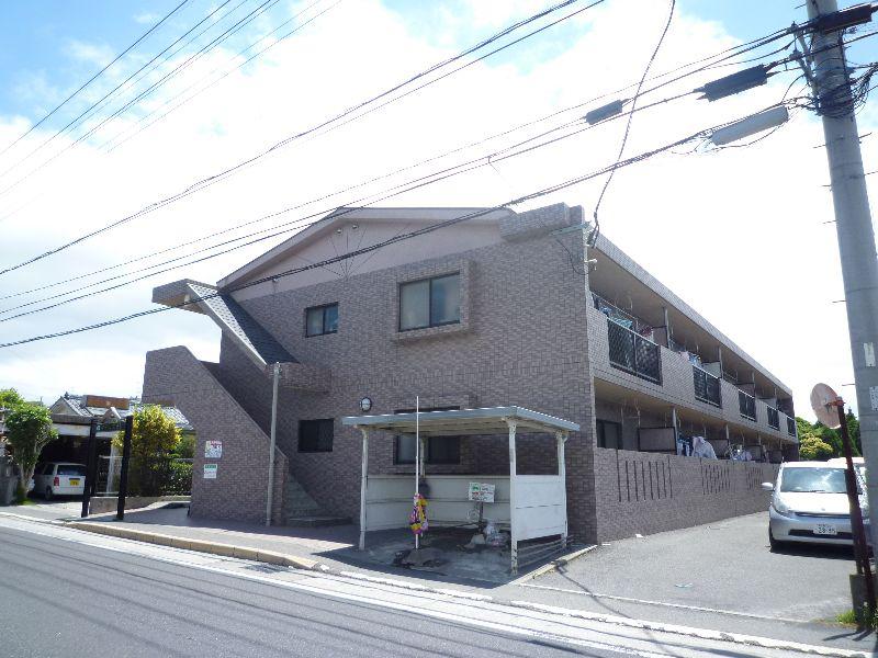 アイリス光