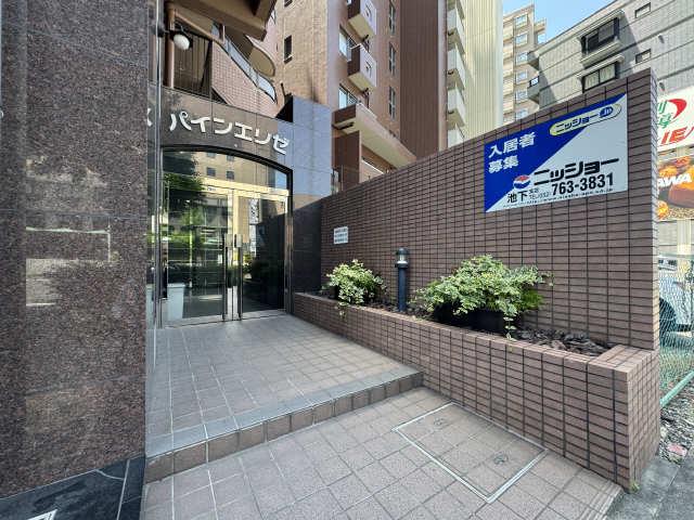 パインエリゼ