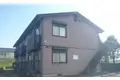 デンファーレ吉村