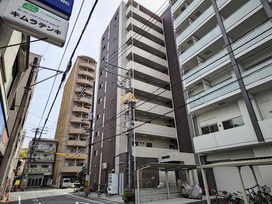 LION平和大通