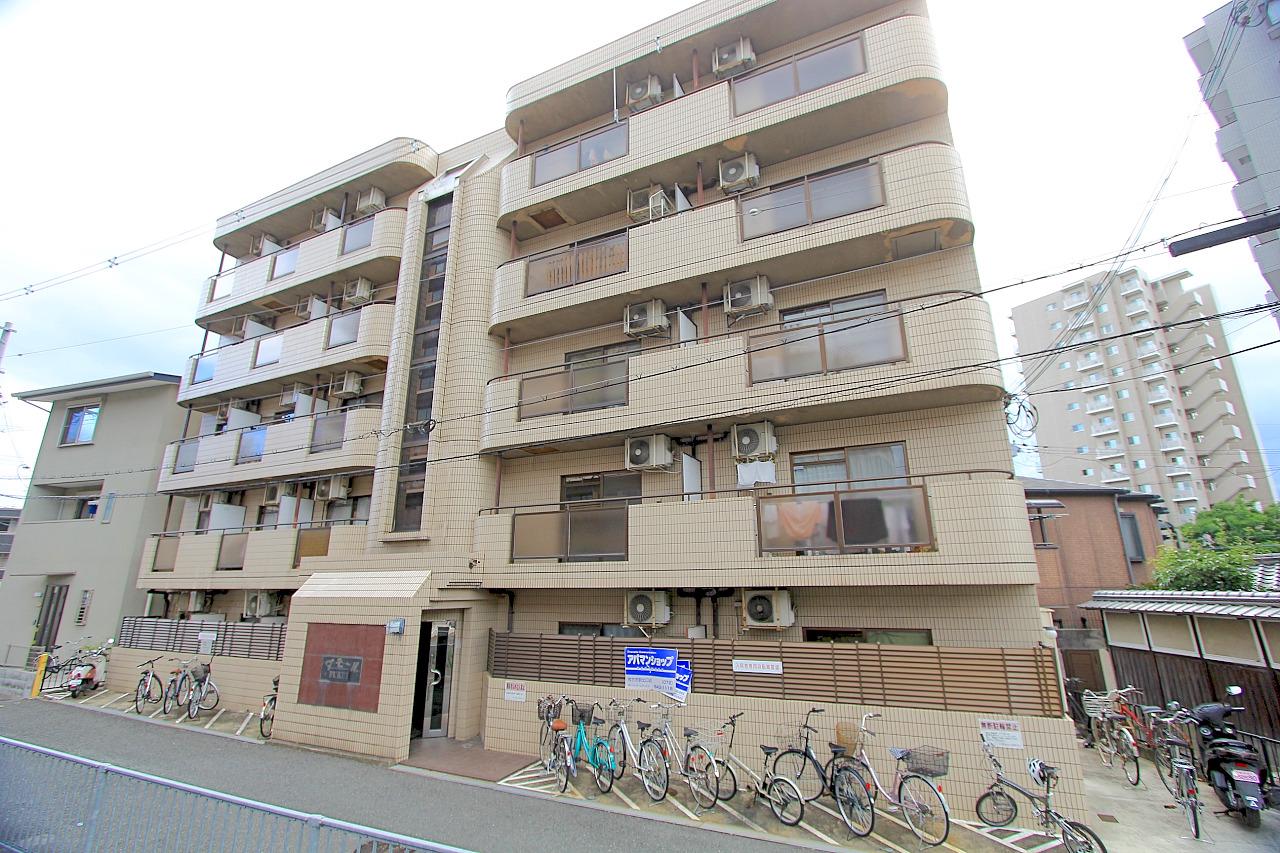 ダモールFUKUI