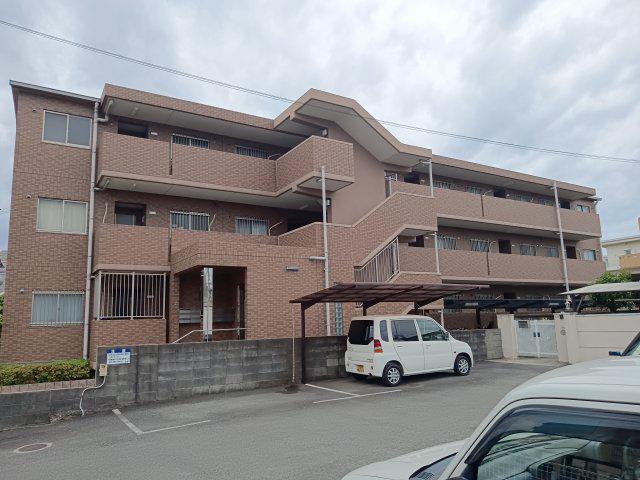 アムールカセイ
