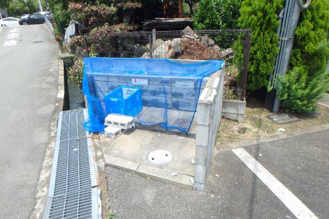 アムール花