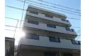 イルリッシュ立花