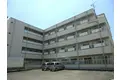 めぞんかせの