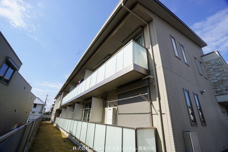コラージュステラ
