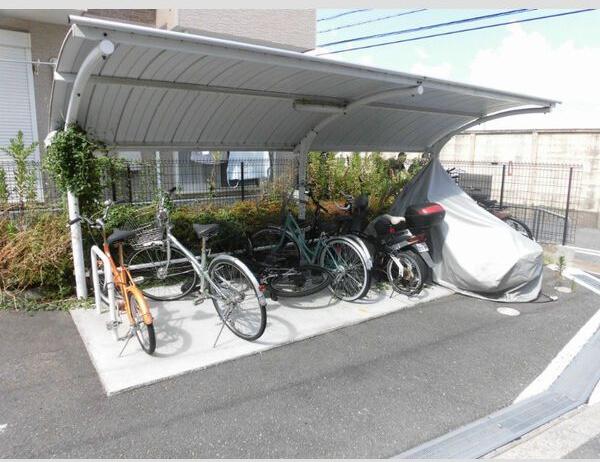 コージーコート