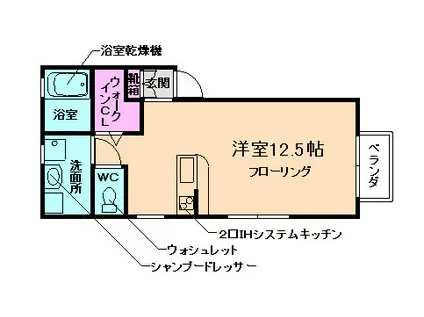 アメニティクレール(ワンルーム/2階)の間取り写真