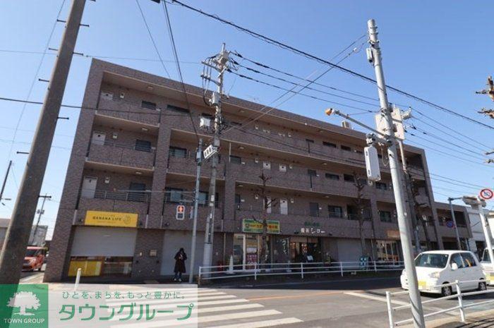 パインツリーコート