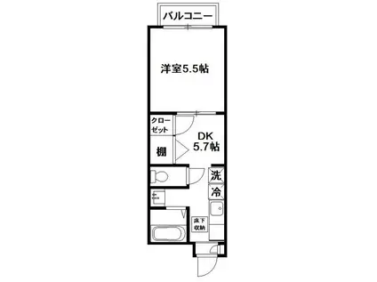 グランシード中丸NO8(1DK/1階)の間取り写真