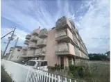 ニューエストタカダ