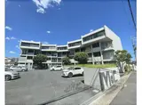 近鉄橿原線 大和八木駅 徒歩11分 4階建 築19年