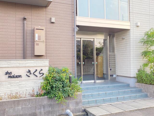 SHAMAISONさくら