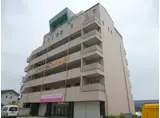 アゴラオーキッド富永