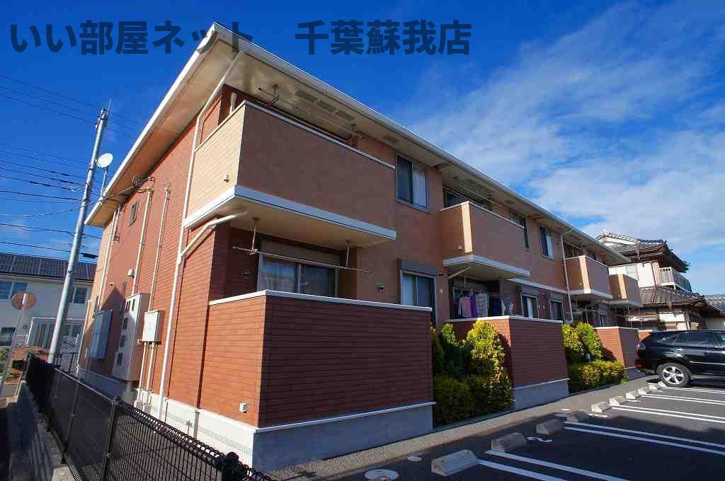 ラベンダー