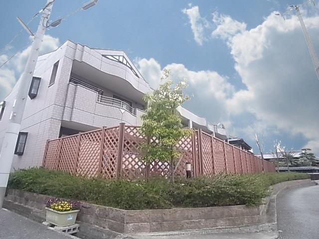 マウントック・レオ