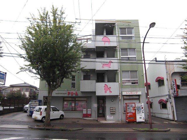 ドリーム極楽