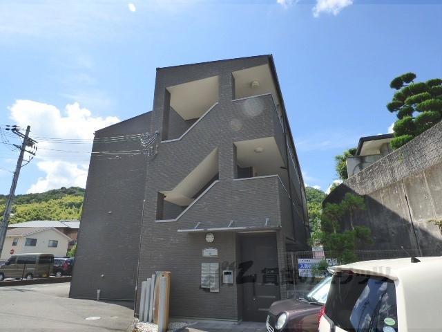 アンプルールフェール樹