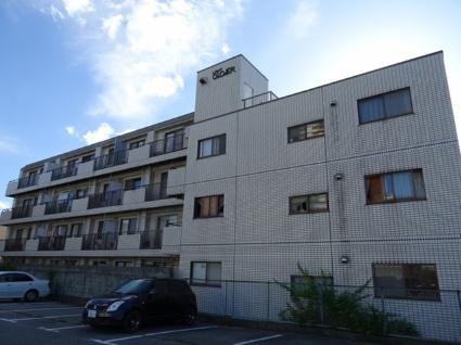 ライトクローバー