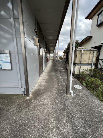 リトルシャンティ―