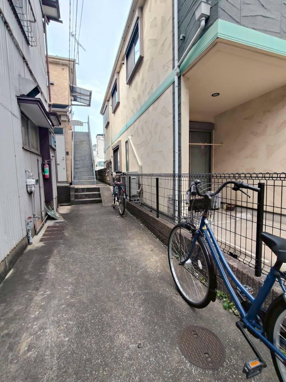 シュノンソウ