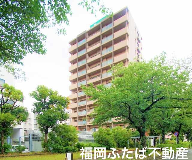ニューガイアリルーム九大病院前N66