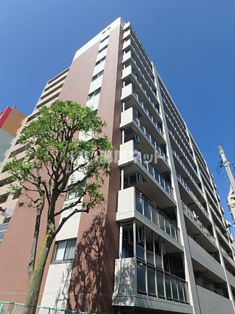 PRIMAL MACHIDA