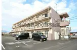 サンライズ金田