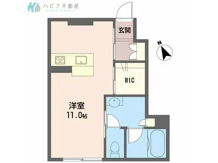 エクラシエ(ワンルーム/1階)の間取り写真