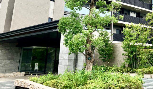 リーフィアレジデンス杉並 井草森公園
