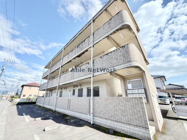 Y&Mデイジー