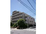 PALACIO用賀パラーシオ