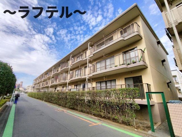 ハルニレ