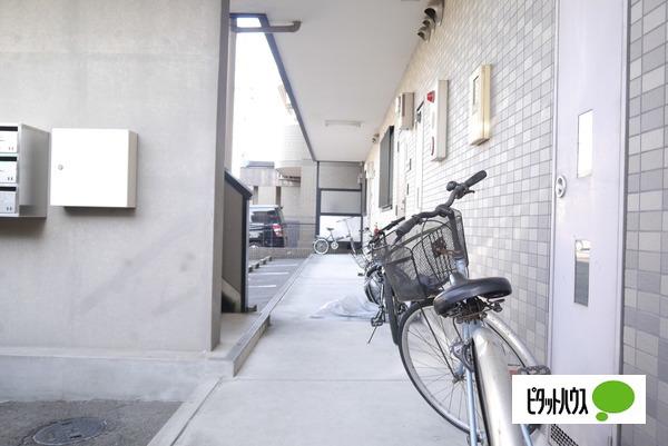 セイフティ日比野