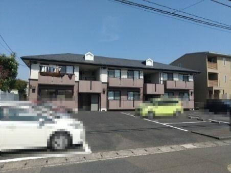 ハイカムールアダチ