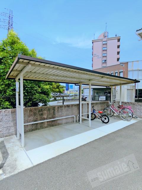 コニファーII