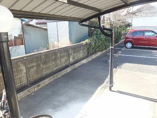 レオネクストタビィ
