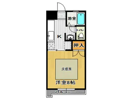 ドゥ・カンパーニュ(1K/1階)の間取り写真